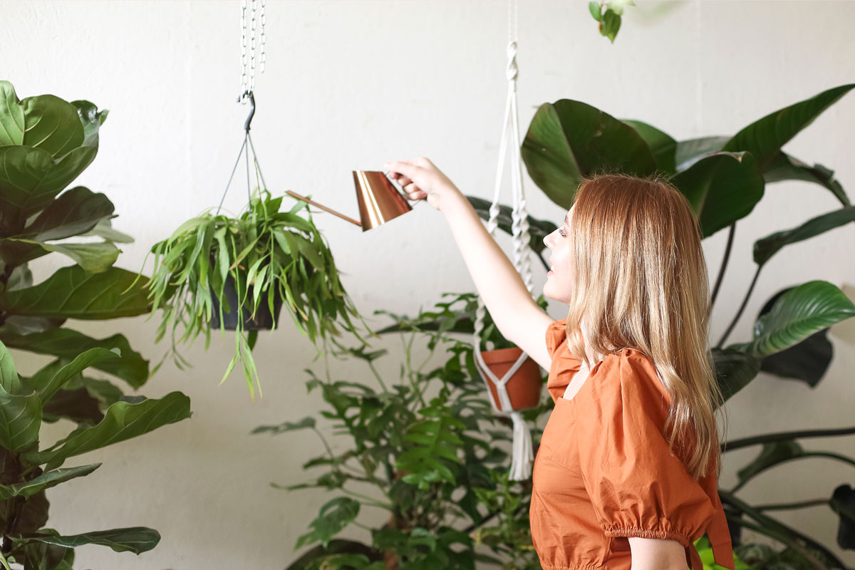 5 tips på hur du tar hand om dina växter i sommar